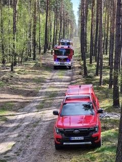 mehrere Fahrzeug auf einem Waldweg
