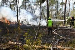 Waldbrand