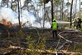 Waldbrand