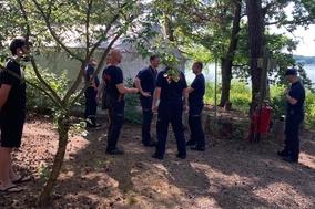 Mitarbeiter unter Bäumen unterhalten sich