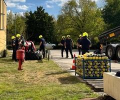 Feuerwehrmänner beim Kranen eines Pferdes
