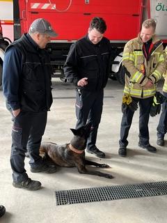 Feuerwehrleute in der Fahrzeughalle. Hund macht Platz und horcht auf Anweisung.