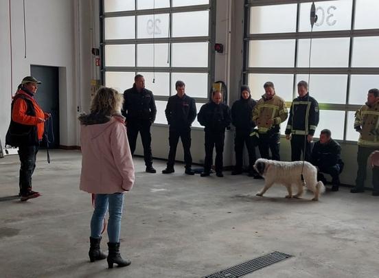 Feuerwehrmänner in der Fahrzeughalle. Ein weißer Hund läuft davor