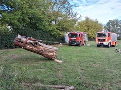Feuerwehrfahrzeuge und ein großer Stamm an Seilen