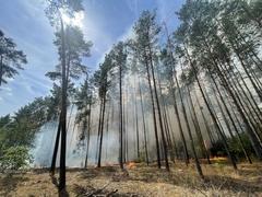 Waldbrand
