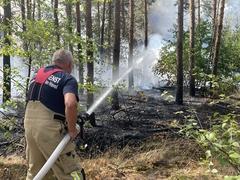 Waldbrand