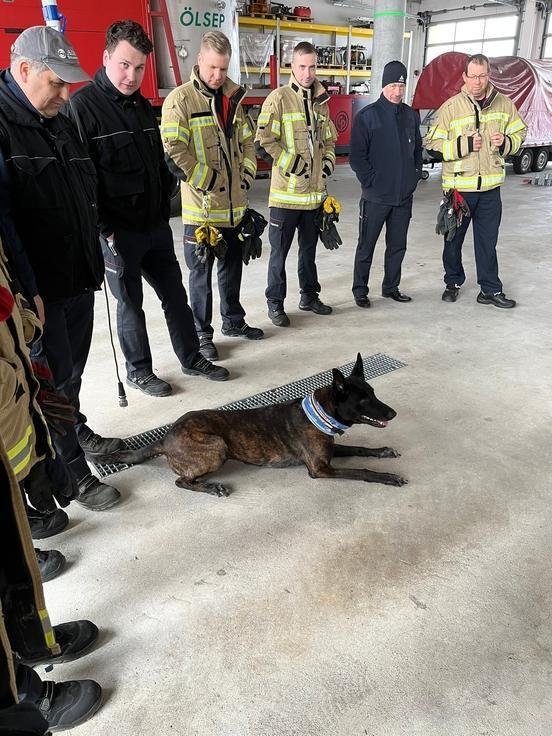 Feuerwehrleute in der Fahrzeughalle. Ein Hund macht Platz davor.