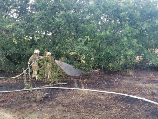 Feuerwehrleute löschen einen Flächenbrand.