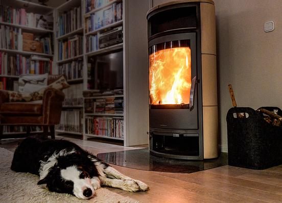 Brennender Kamin mit einem Hund davor