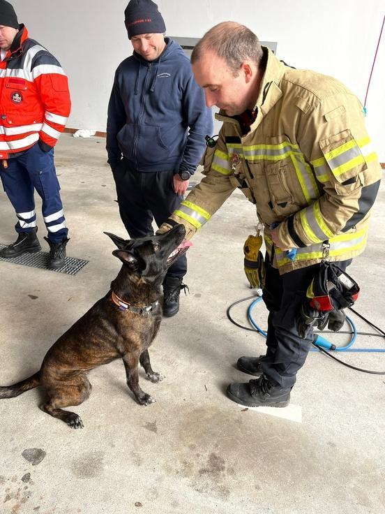 Ein Feuerwehrmann streichelt einen Hund.