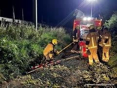 Feuerwehrmänner sägen Ast bei der Bahn