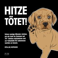 Hitze tötet
