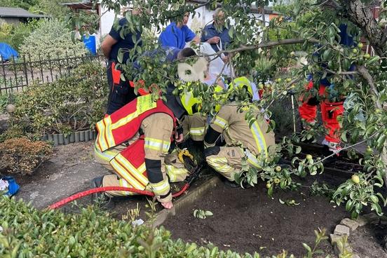 Feuerwehrmänner befreien Patientin im Garten von einer Eisenstange