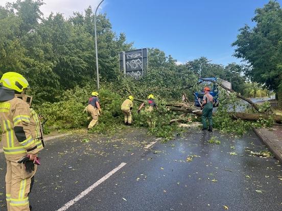 Baum auf Straße. Feuerwehrmänner beseitigen die Schäden