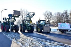 Drei Traktoren auf der Straße in einer Reihe.