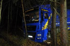 LKW im Wald