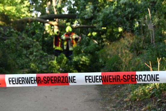 Absperrband vor umgestürzte Bäume