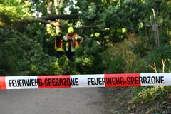 Absperrband vor umgestürzte Bäume