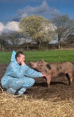 Frau im Vollschutzanzug mit einem Schwein.