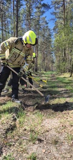 Kollegen im Wald und graben einen Graben mit der Spitzhacke