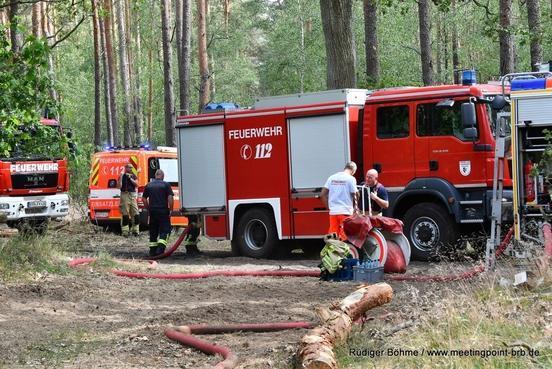 Feuerwehrfahrzeuge im Wald