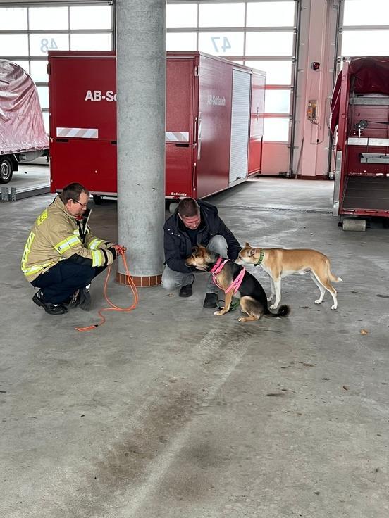 Der Hundetrainer und zwei seiner Hunde sind in der Fahrzeughalle. Ein Feuerwehrmann hält eine Leine.
