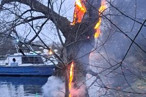 Brennender Baum am Wasser