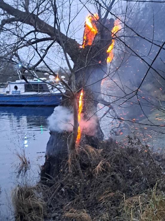 Brennender Baum am Wasser