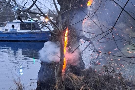 Brennender Baum am Wasser