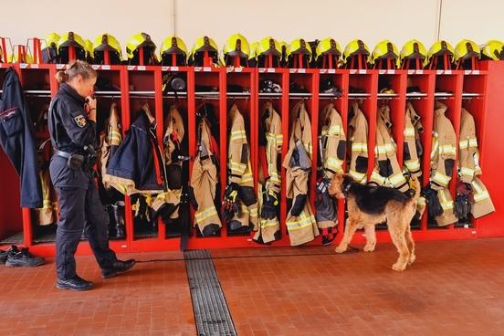 Spürhund an den Spinten der Feuerwehr