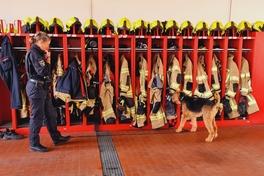 Spürhund an den Spinten der Feuerwehr