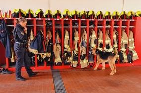 Spürhund an den Spinten der Feuerwehr
