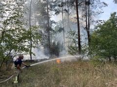 Waldbrand