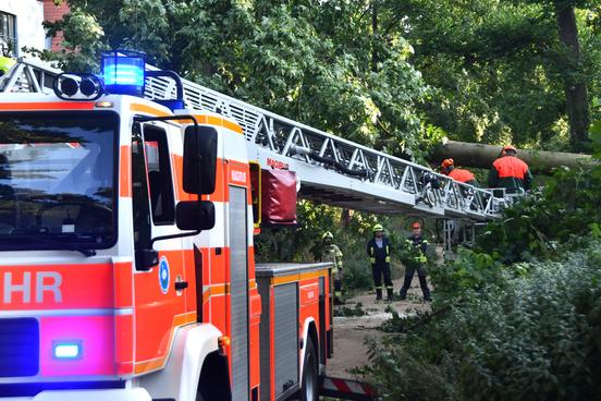 Drehleiterkorb zwischen umgestürztem mit Kollegen, die Sägearbeiten vornehmen