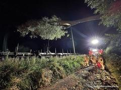 Baum auf Oberleitung der DB