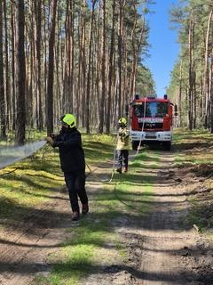 Löscharbeiten im Wald zu Übungszwecke