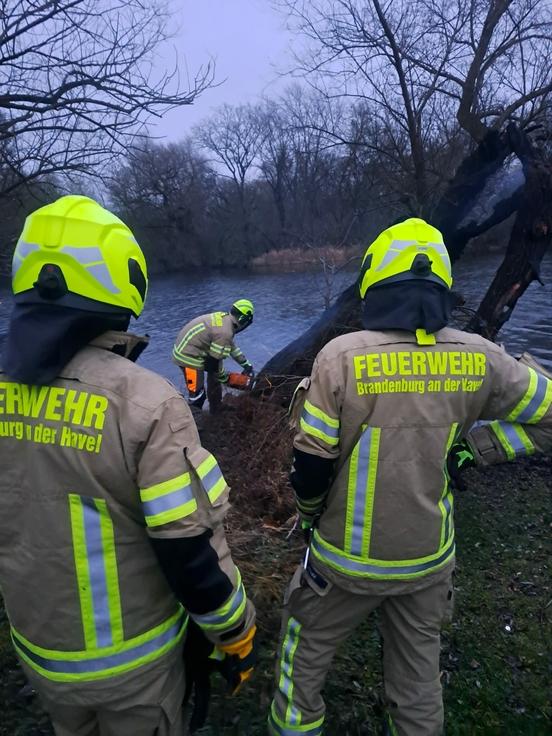 Zwei Feuerwehrmänner stehen im Vordergrund. Dahinter ist der brennende Baum