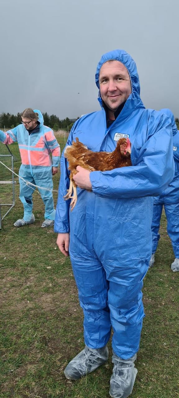 Mann im Vollschutzanzug hält ein Huhn auf dem Arm