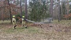 Löscharbeiten im Wald