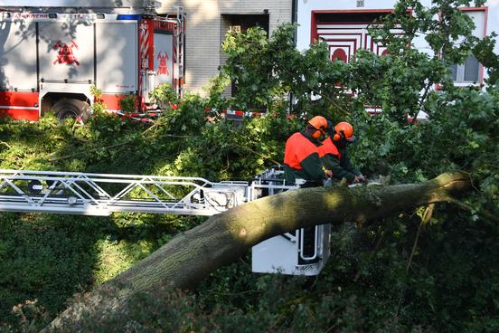 Drehleiterkorb zwischen umgestürztem mit Kollegen, die Sägearbeiten vornehmen