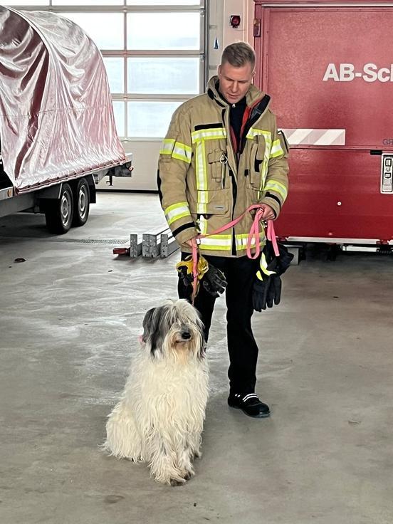 Ein Feuerwehrmann hält einen Hund an der Leine. Der Hund macht Sitz.