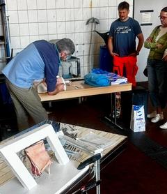 Arbeiten an Schweinehaut