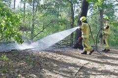 Löscharbeiten Waldboden