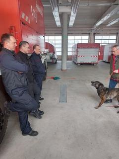 3 Feuerwehrmänner werden von einem Hund angebellt