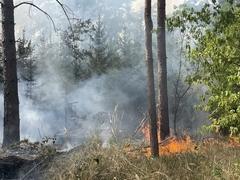 Waldbrand