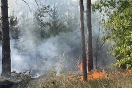 Waldbrand