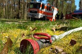 Bild im Wald im Vordergrund der Schlauch und dahinter das Einsatzfahrzeug