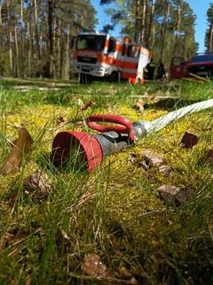 Bild im Wald im Vordergrund der Schlauch und dahinter das Einsatzfahrzeug