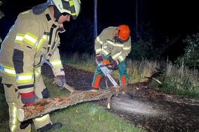 Feuerwehrmänner sägen Ast
