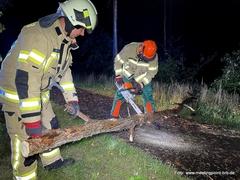 Feuerwehrmänner sägen Ast